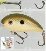 Kentucky Lake Shad.jpg