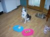 DSCN1324.jpg