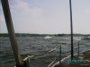 IMGP0436.JPG