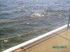 IMGP0442.jpg