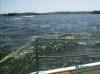 IMGP0444.jpg