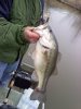 2010 first trip #1.jpg