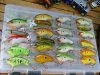WEC Crankbaits.jpg