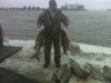asian carp 2010 #2.jpg