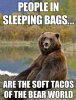 funny-bear-forest-sleeping-bag-taco.jpg