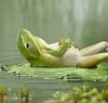 i-ate-too-much-frog.jpg