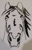 Face of Mustang.jpg