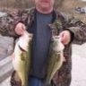 BassVet